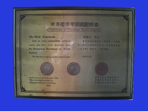 “世界优秀专家人才”证书