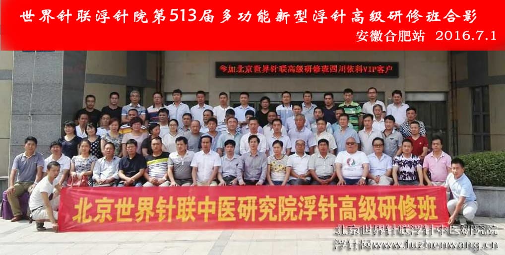【多功能皮下套管针疗法】世界针联浮针中医研究院第513届新型浮针疗法研修班在安徽合肥成功举办并圆满结束（2016年6月30日-7月1日）合肥