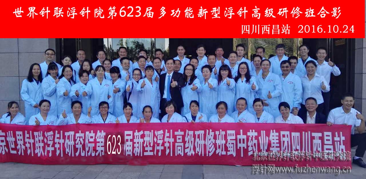 【多功能皮下套管针疗法】世界针联浮针中医研究院第623届新型浮针疗法研修班在四川西昌成功举办并圆满结束（2016年10月23日-10月24日）西昌