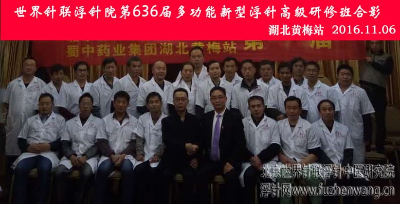 【多功能套针疗法】“第636届湖北黄梅站多功能套针疗法、腕踝针疗法、太极神针、特色新型彩色膏药制作、中外自然疗法应用学习班”圆满结束​