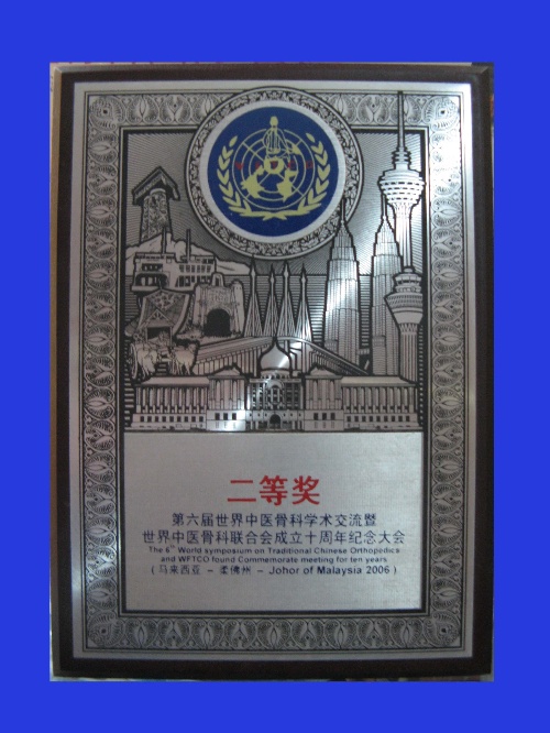 马来西亚第六届世界中医骨科学术交流暨世界中医骨科联合会成立十周年纪念大会上荣获“二等奖”