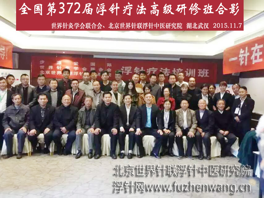 【浮针疗法】第372届浮针疗法研修班在湖北武汉成功举办并圆满结束（2015年11月7-11月8日）武汉
