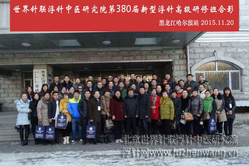 【多功能皮下套管针疗法】世界针联浮针中医研究院第380届新型浮针疗法研修班在黑龙江哈尔滨成功举办并圆满结束（2015年11月20-11月21日）哈尔滨