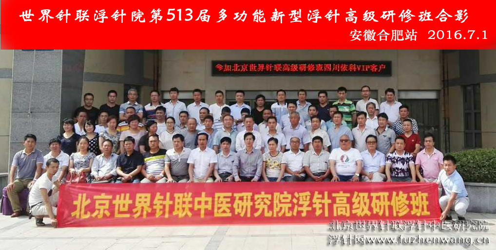 【多功能皮下套管针疗法】世界针联浮针中医研究院第513届新型浮针疗法研修班在安徽合肥成功举办并圆满结束（2016年6月30日-7月1日）合肥