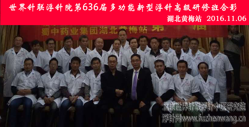 【多功能皮下套管针疗法】世界针联浮针中医研究院第636届新型浮针疗法研修班在湖北黄梅成功举办并圆满结束（2016年11月06日-11月07日）黄梅